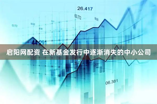 启阳网配资 在新基金发行中逐渐消失的中小公司