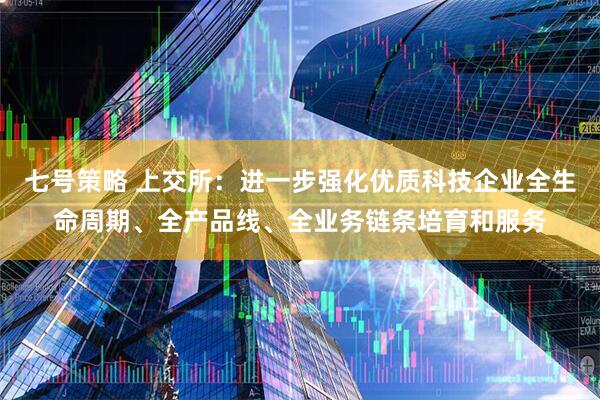 七号策略 上交所：进一步强化优质科技企业全生命周期、全产品线、全业务链条培育和服务