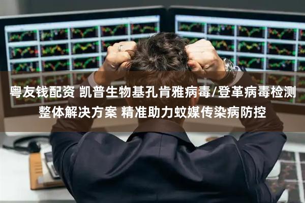 粤友钱配资 凯普生物基孔肯雅病毒/登革病毒检测整体解决方案 精准助力蚊媒传染病防控