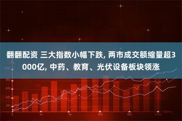 翻翻配资 三大指数小幅下跌, 两市成交额缩量超3000亿, 中药、教育、光伏设备板块领涨