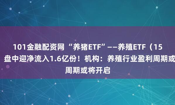 101金融配资网 “养猪ETF”——养殖ETF（159865）盘中迎净流入1.6亿份！机构：养殖行业盈利周期或将开启