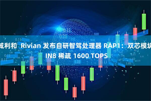 诚利和 Rivian 发布自研智驾处理器 RAP1:双芯模块 IN8 稀疏 1600 TOPS