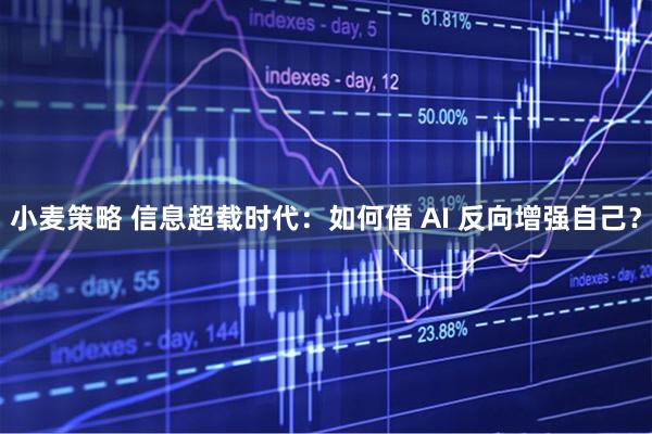小麦策略 信息超载时代：如何借 AI 反向增强自己？